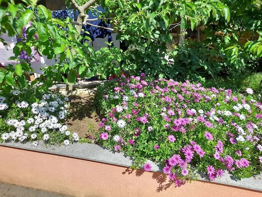 Apartmani Nedjeljko Čunski Chorvatsko